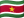 🇸🇷